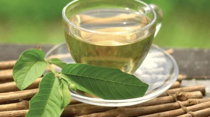Cách dùng trà ổi giảm cân